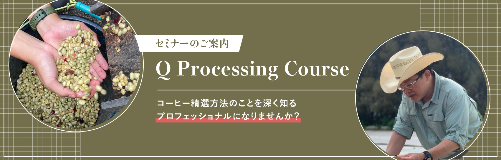 Q Processing