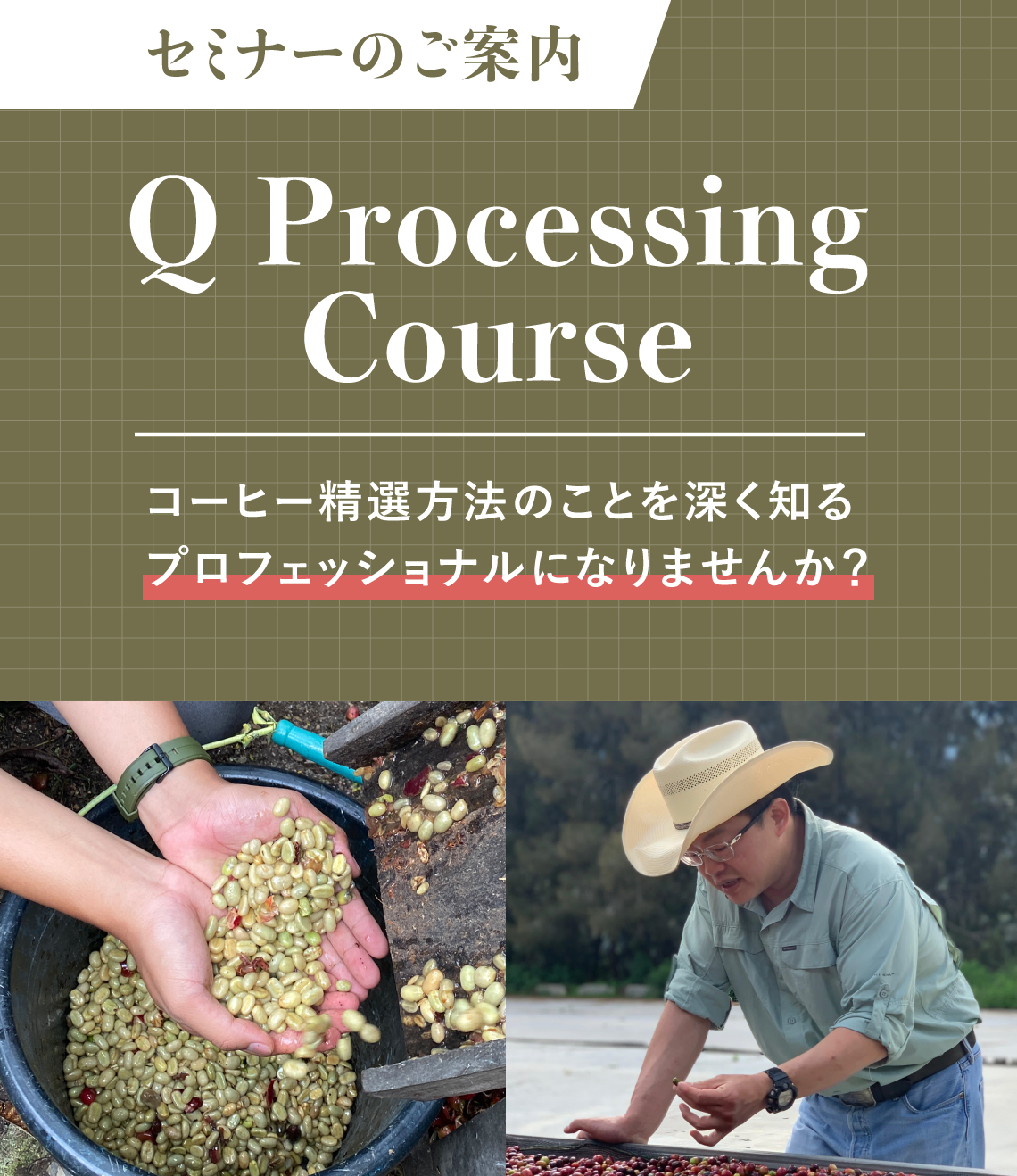 Q Processing